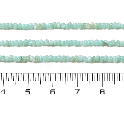 Natural Freshwater Shell Beads Strands SHEL-P017-01A-08-1