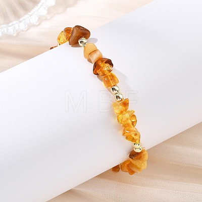 Unisex Natural & Synthetic Amber Bracelets BJEW-JB13932-1