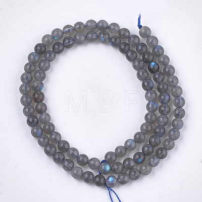 Natural Labradorite Beads Strands X-G-S333-6mm-035-1