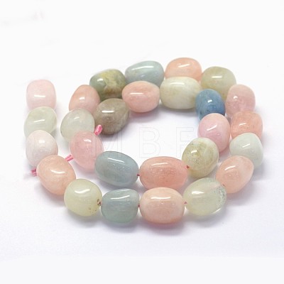 Natural Morganite Beads Strands G-K285-14A-1