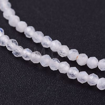 Natural White Moonstone Beads Strands G-J376-55-2mm-1