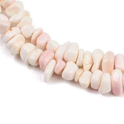 Natural Pink Shell Beads Strands SSHEL-L016-19-1