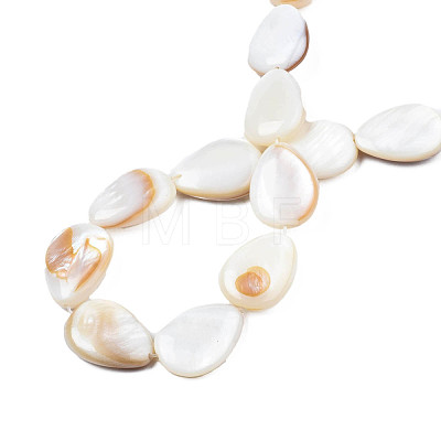 Natural White Shell Beads Strands PBB263Y-1-1