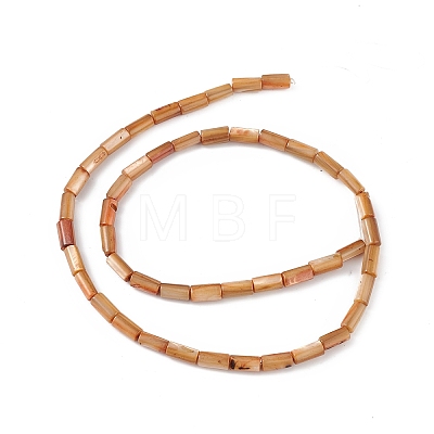 Natural Freshwater Shell Dyed Beads Strands SHEL-M018-11-11-1