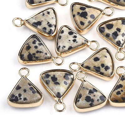 Natural Dalmatian Jasper Pendants G-S344-10B-1