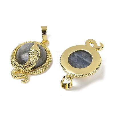 Natural Labradorite Flat Round Shaped Brass Pendants KK-F887-03G-27-1