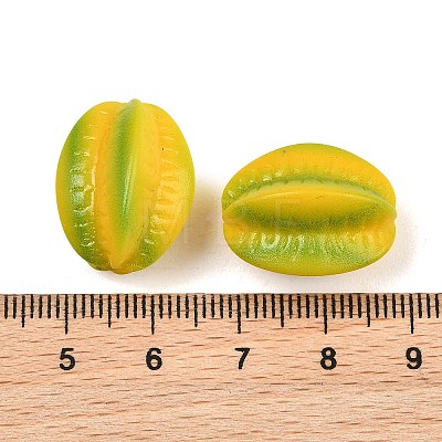 Fruit Series Opaque Resin Beads RE-CBAC4C7-11G-1