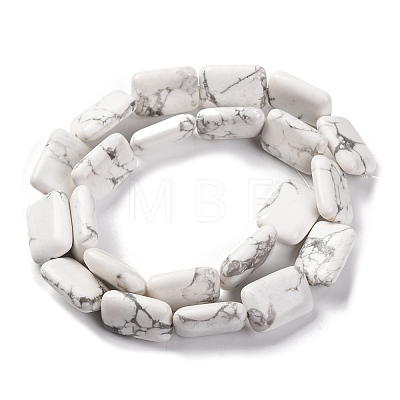 Natural Howlite Beads Strands G-T047-B23-01-1