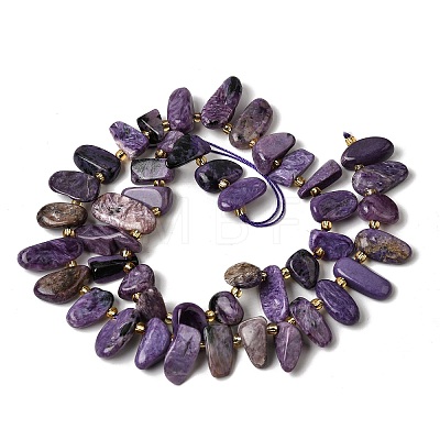 Natural Charoite Beads Strands G-P604-A29-01-1