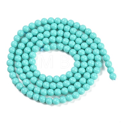 Synthetic Turquoise Beads Strands G-U004-02N-1