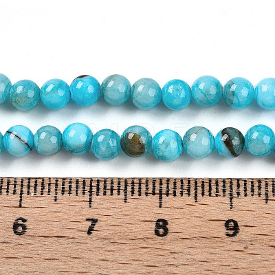 Natural Persian Jade Beads Strands G-A255-A02-04H-1