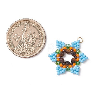 Glass Seed Beaded Pendants PALLOY-MZ01241-03-1