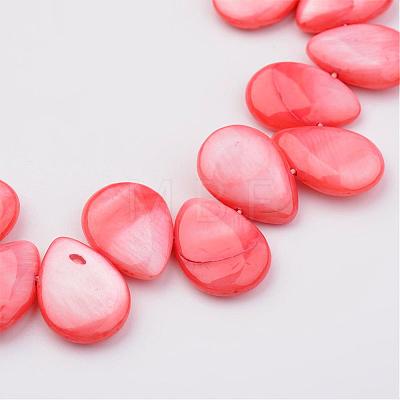 Natural Shell Beads Strands X-BSHE-P019-14-1