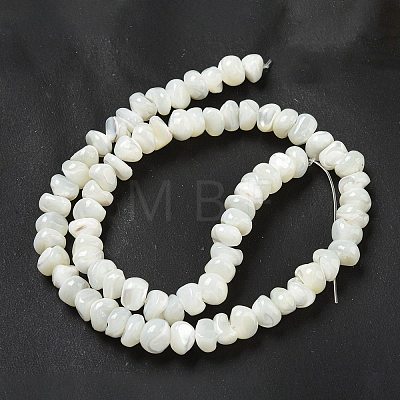 Natural Trochus Shell Beads Strands BSHE-G039-01B-1