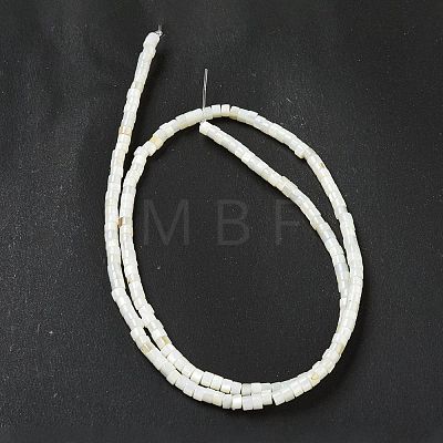 Natural Freshwater Shell Beads Strands BSHE-G039-03-1