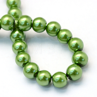 Baking Painted Pearlized Glass Pearl Round Bead Strands HY-Q003-10mm-13-1