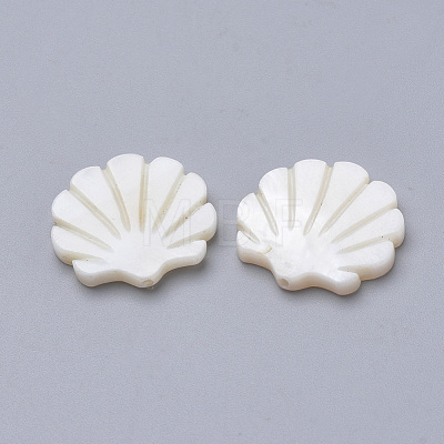 Natural Freshwater Shell Beads SHEL-T007-02-1