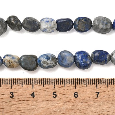 Natural Lapis Lazuli Beads Strands G-C286-A06-1