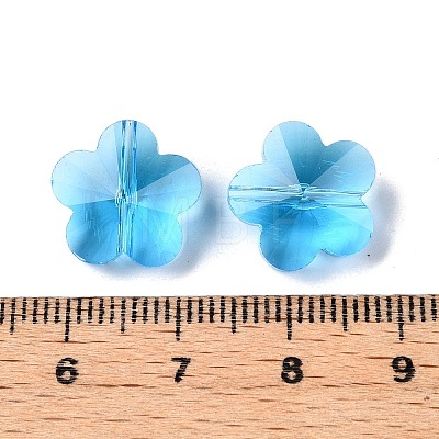 Transparent Glass Beads GLAA-Q066-14mm-C09-1