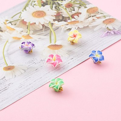 Polymer Clay Charms X-PALLOY-JF00693-1
