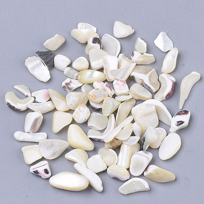 Sea Shell Beads SSHEL-S258-70-1