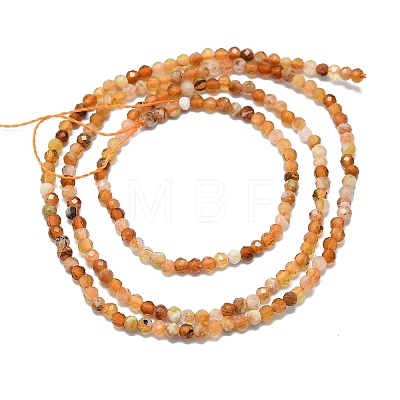 Natural Fire Opal Beads Strands G-G106-C03-01-1