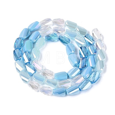 Electroplate Mixed Styles Glass Beads Strands EGLA-N022-10A-A05-1
