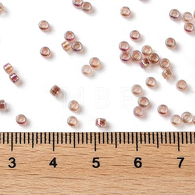 Glass Seed Beads X-SEED-S042-13A-17-1