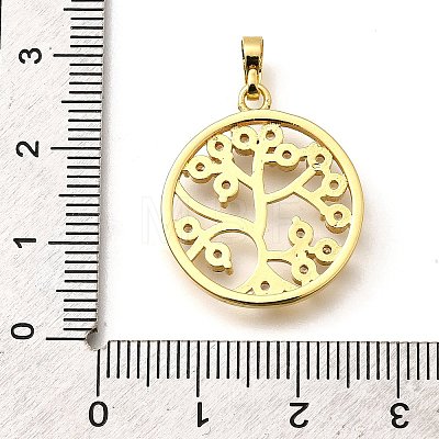Rack Plating Brass Micro Pave Cubic Zirconia Pendants KK-L226-051G-04-1
