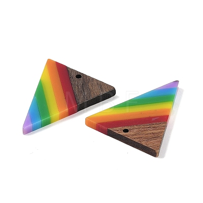 Rainbow Color Opaque Resin & Wood Pendants WOOD-K012-13-1