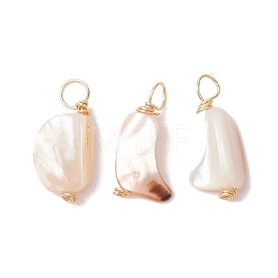 Natural Seashell Nuggets Charms PALLOY-JF02842-1