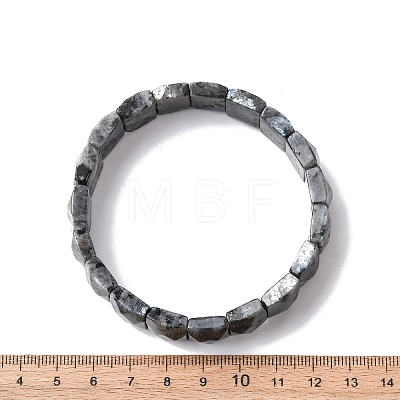 Rectangle Natural Labradorite Beads Stretch Bracelets for Women Men BJEW-Z149-01F-1