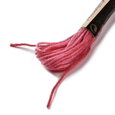 10 Skeins 6-Ply Polyester Embroidery Floss OCOR-K006-A19-1
