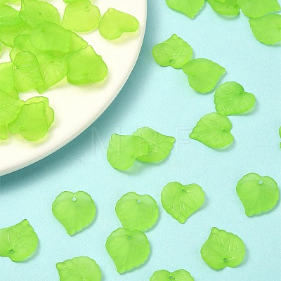 Transparent Frosted Acrylic Leaf Charms FACR-YW0001-06B-1