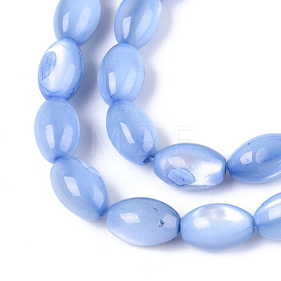 Natural Trochus Shell Beads Strands SHEL-K006-19-01A-1