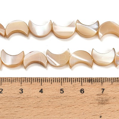 Natural Trochid Shell/Trochus Shell Beads Strands SH-CBA93AD-01-1