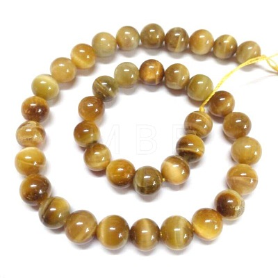 Natural Tiger Eye Beads Strands G-G544-12mm-01-1
