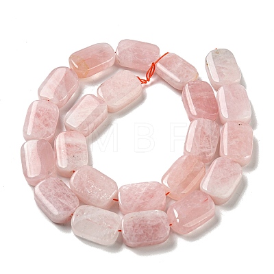 Natural Rose Quartz Beads Strands G-M420-M03-02-1