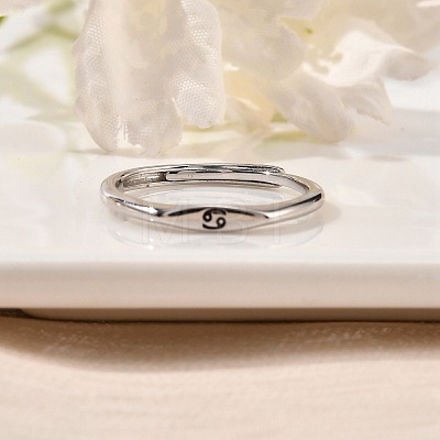 Rhodium Plated 925 Sterling Silver Adjustable Rings RJEW-S397-01P-04-1