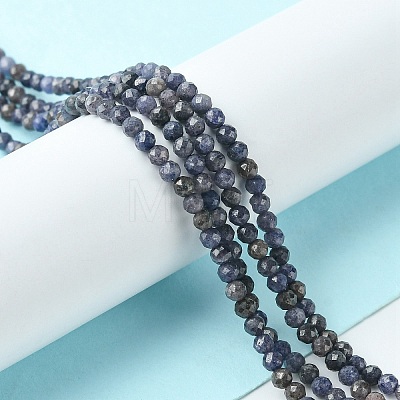 Natural Sapphire Beads Strands G-F748-M01-03-1