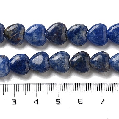 Natural Sodalite Beads Strands G-R190-10mm-37-1