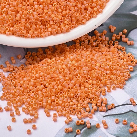 MIYUKI Delica Beads SEED-J020-DB1593-1