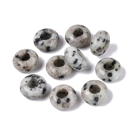 Natural Labradorite European Beads G-N359-17A-06-1