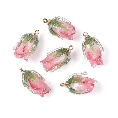 Transparent Acrylic Pendants X1-SACR-T017-53B-1