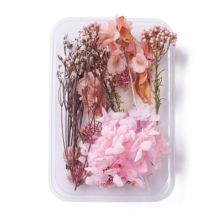 Dried Flowers DIY-D052-13-1