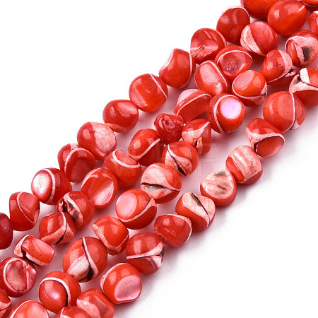 Natural Trochid Shell/Trochus Shell Beads Strands SSHEL-N032-48-A05-1