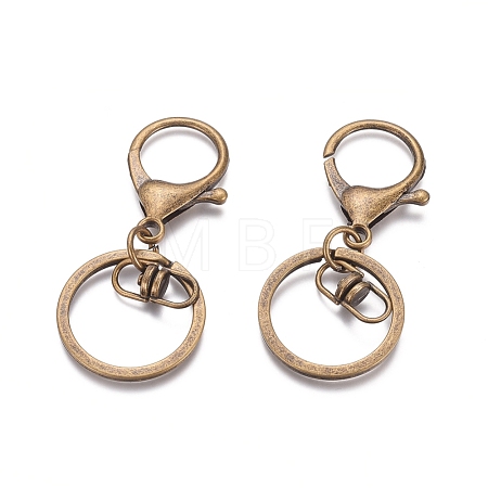Iron Alloy Lobster Claw Clasp Keychain X-KEYC-D016-AB-1