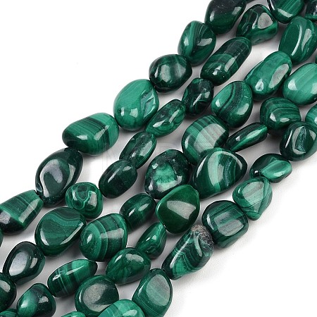 Natural Malachite Beads Strands G-L493-42A-1