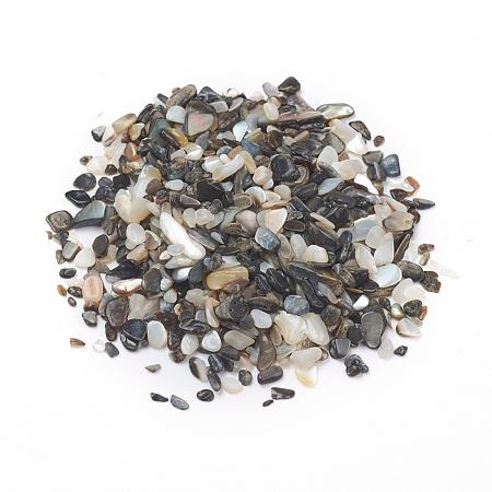 Natural Freshwater Shell Beads BSHE-I011-03A-1