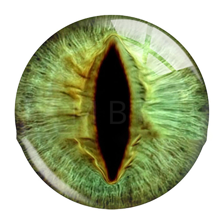 Mixed Animal Eye Pattern Glass Cabochons AJEW-WH0070-08F-1